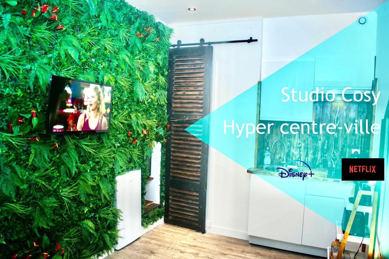 Les Studios De L'Hyper Centre Ville Pau Buitenkant foto